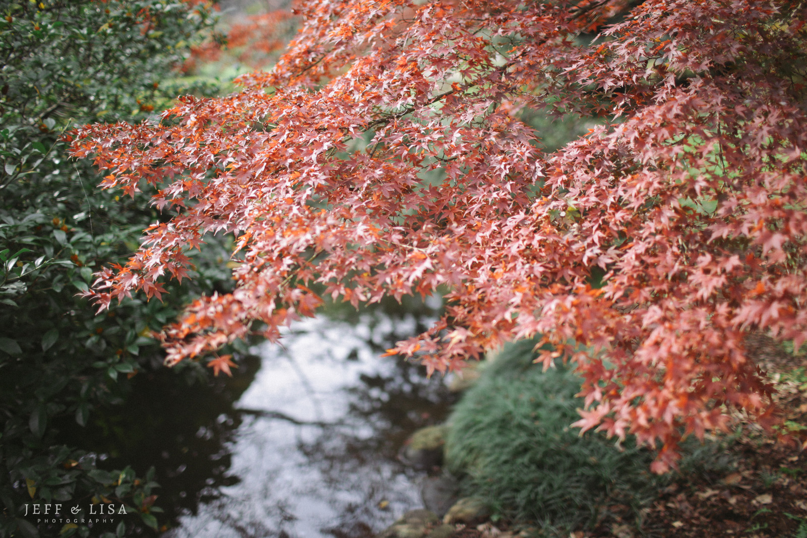 tokyo-in-autumn-12